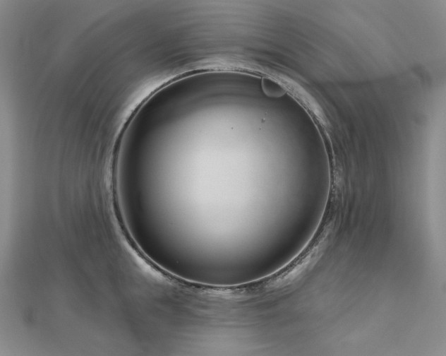 X0000113000855200908271346
