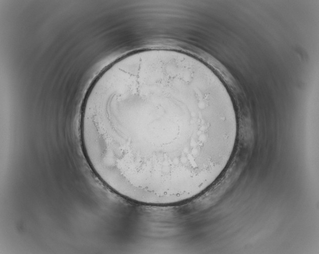 X0000113000856200908271346