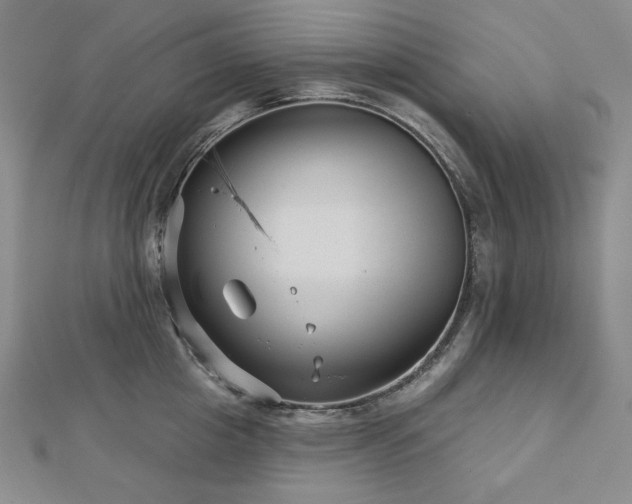 X0000113000857200908271346