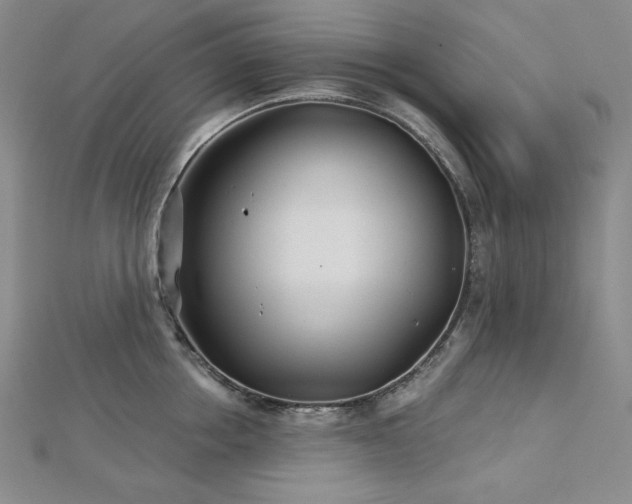 X0000113000858200908271346