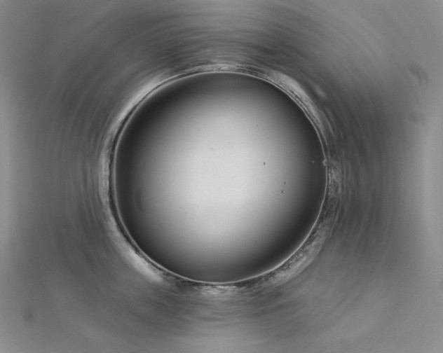 X0000113000859200908271346