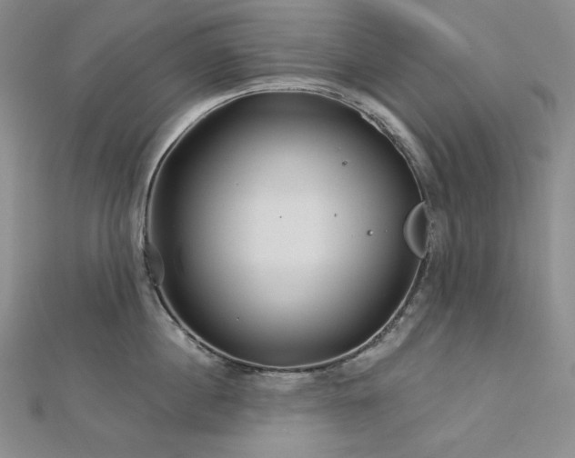 X0000113000860200908271346