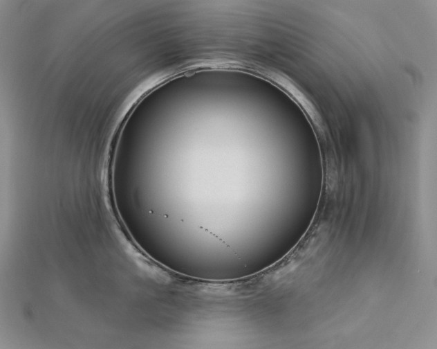 X0000113000861200908271346