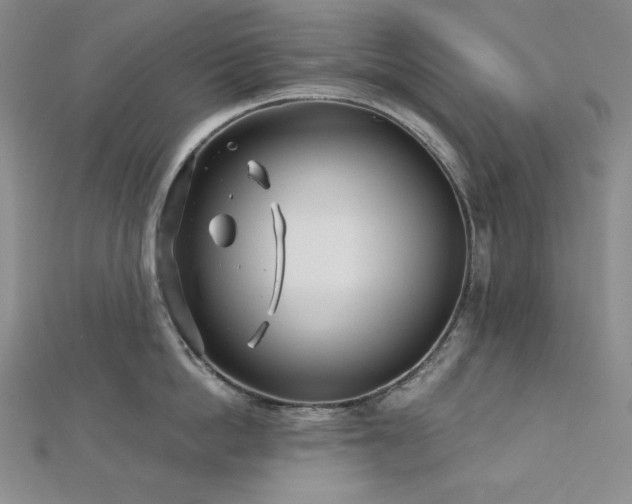 X0000113000862200908271346
