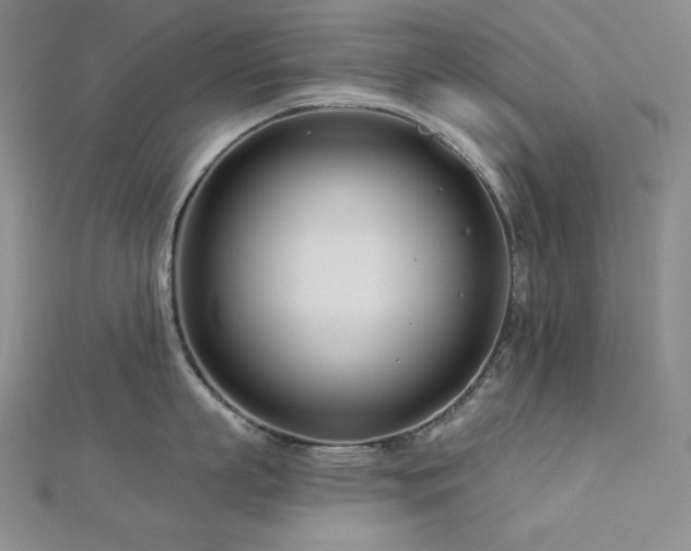 X0000113000863200908271346