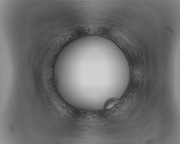 X0000113000865200908271345