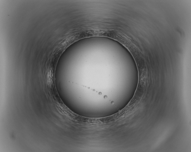 X0000113000866200908271345