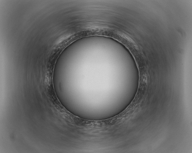 X0000113000869200908271345
