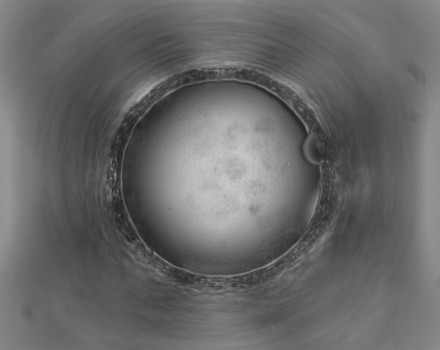 X0000113000871200908271345