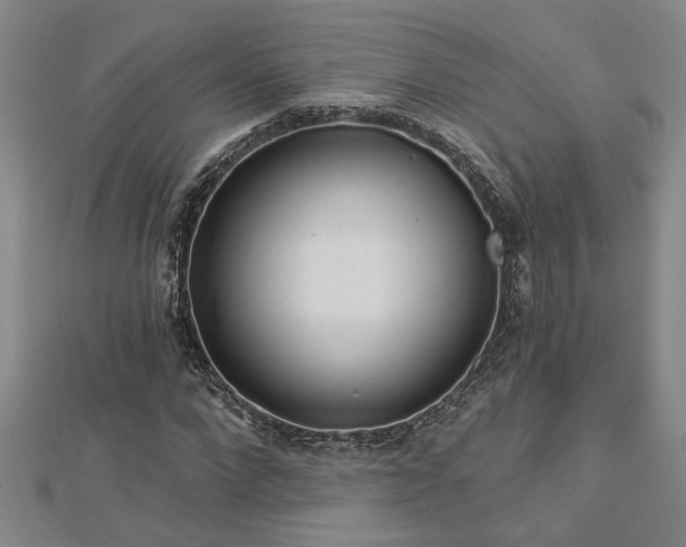 X0000113000872200908271345