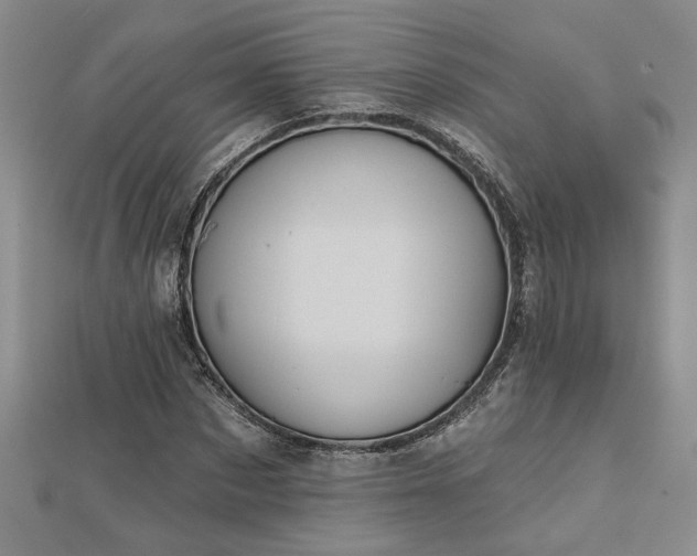 X0000113000873200908271345