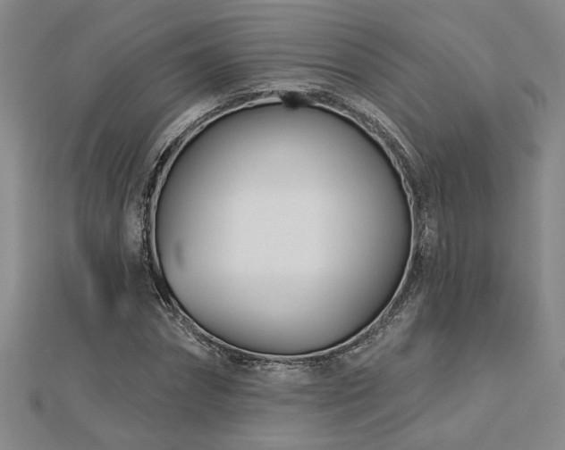 X0000113000874200908271345