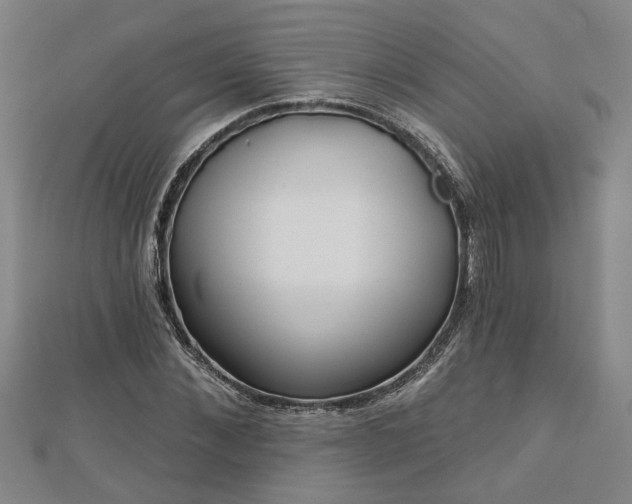 X0000113000876200908271345