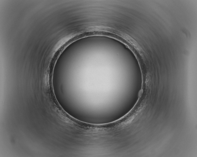 X0000113000877200908271345