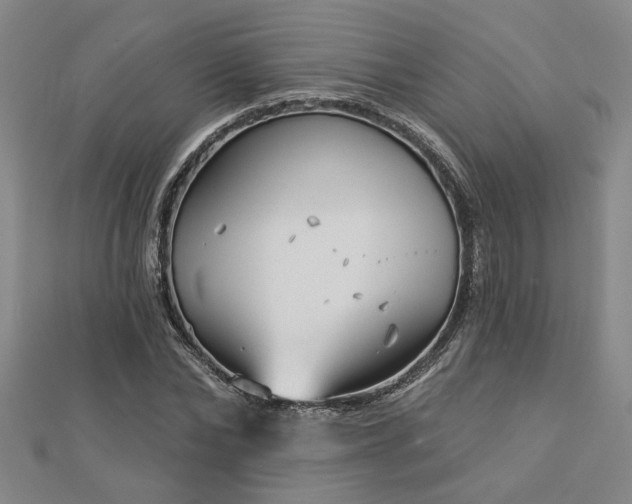 X0000113000878200908271345