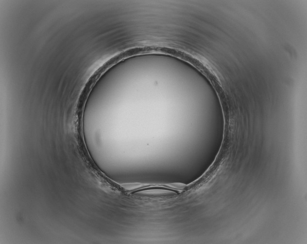 X0000113000879200908271345