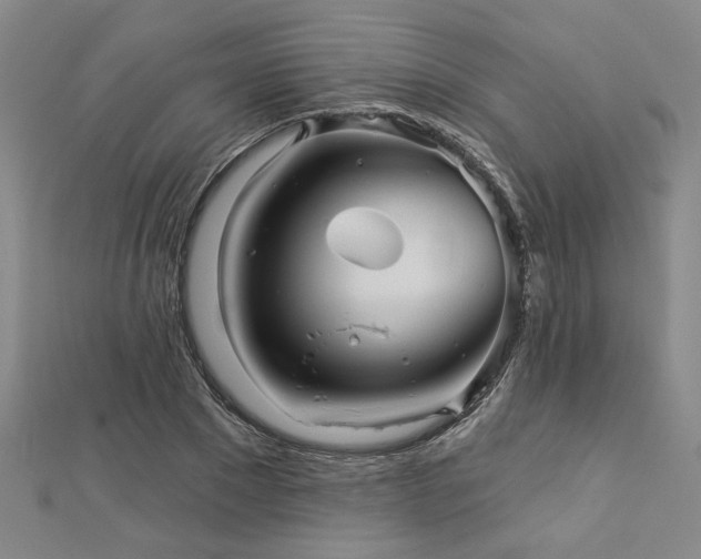 X0000113000881200908271345