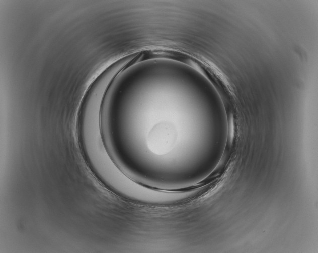 X0000113000885200908271345