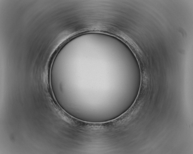 X0000113000886200908271345