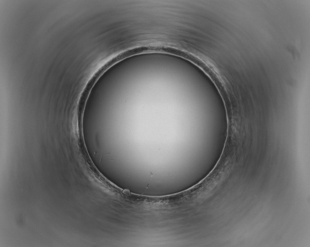 X0000113000887200908271345