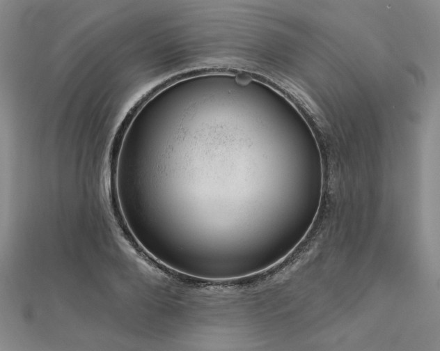 X0000113000888200908271345