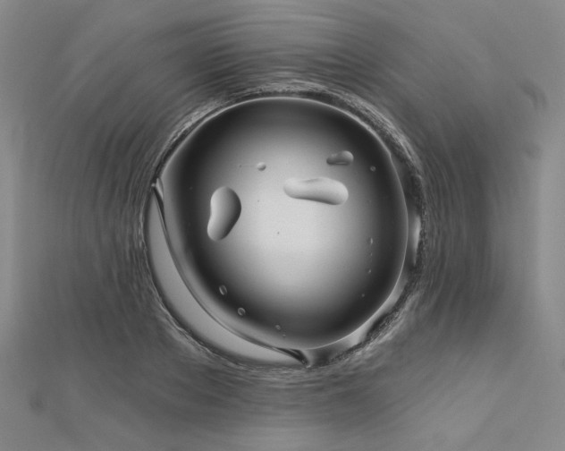 X0000113000889200908271345