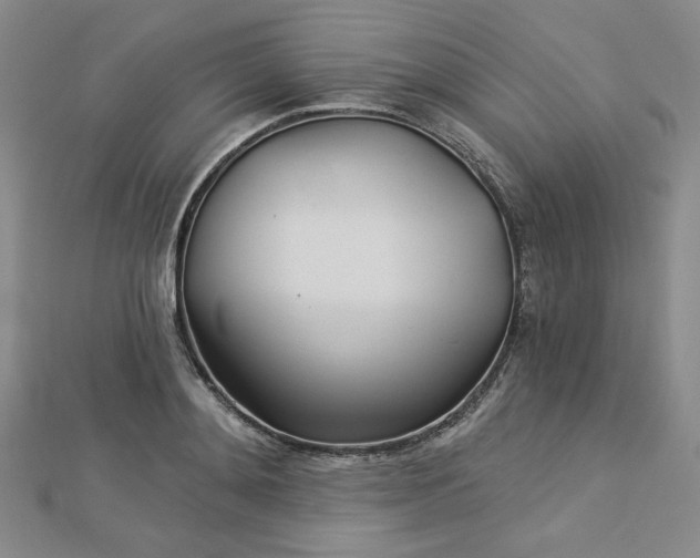 X0000113000892200908271345