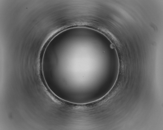 X0000113000894200908271345