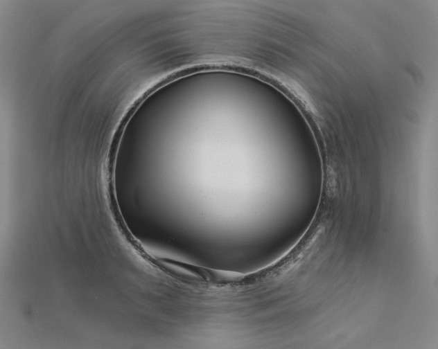 X0000113000895200908271345