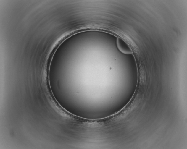 X0000113000896200908271345