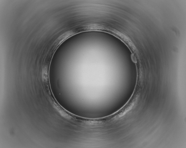 X0000113000897200908271345