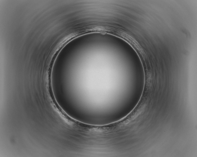 X0000113000898200908271345