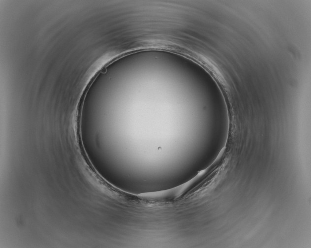 X0000113000899200908271345