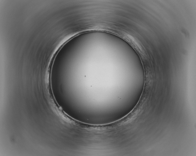 X0000113000900200908271345
