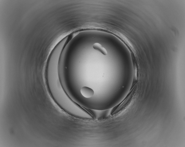 X0000113000901200908271345