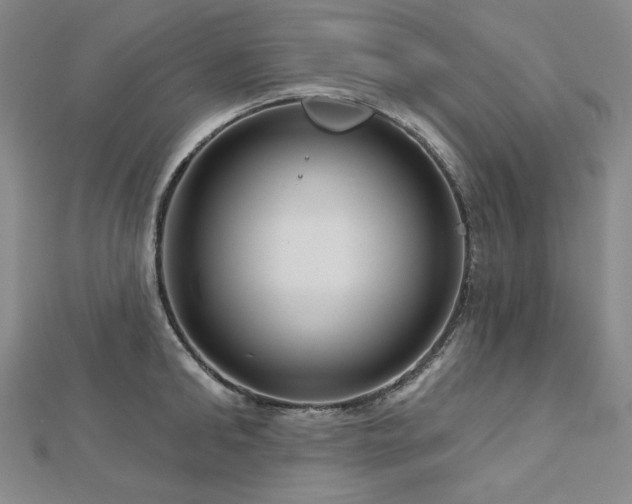 X0000113000902200908271345