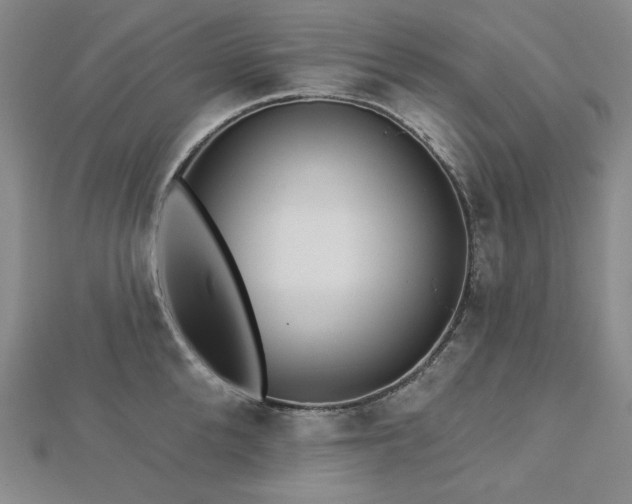 X0000113000904200908271344