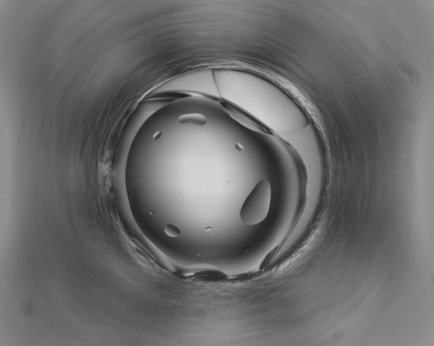 X0000113000905200908271344