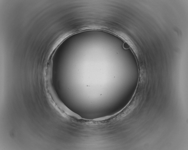 X0000113000906200908271344