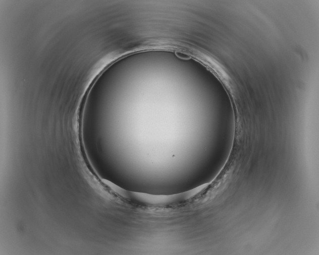 X0000113000907200908271344