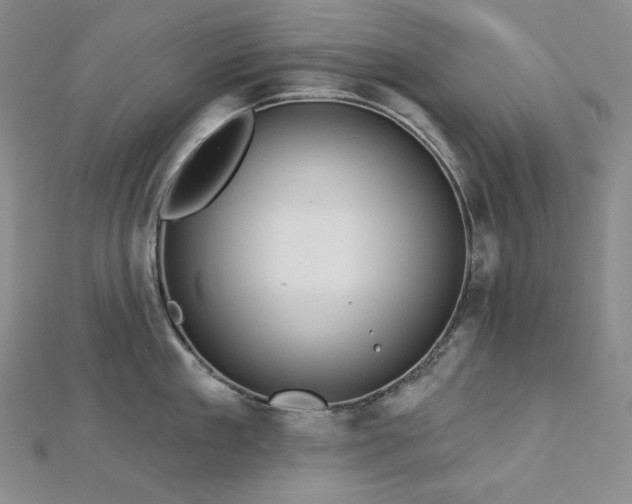 X0000113000909200908271344