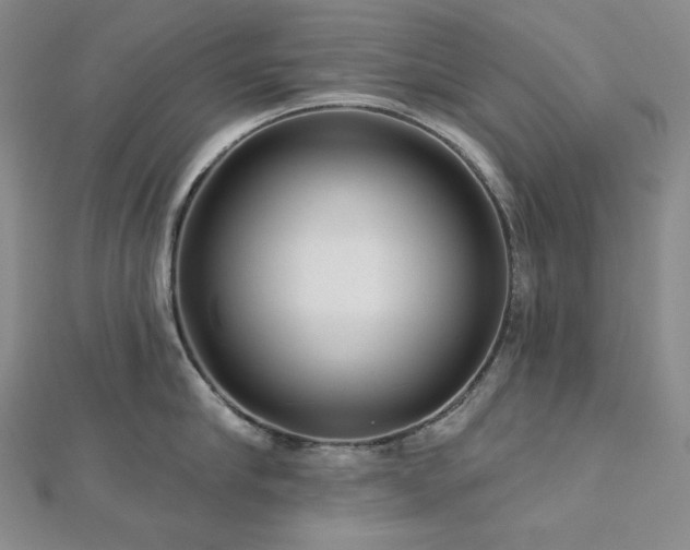X0000113000910200908271344