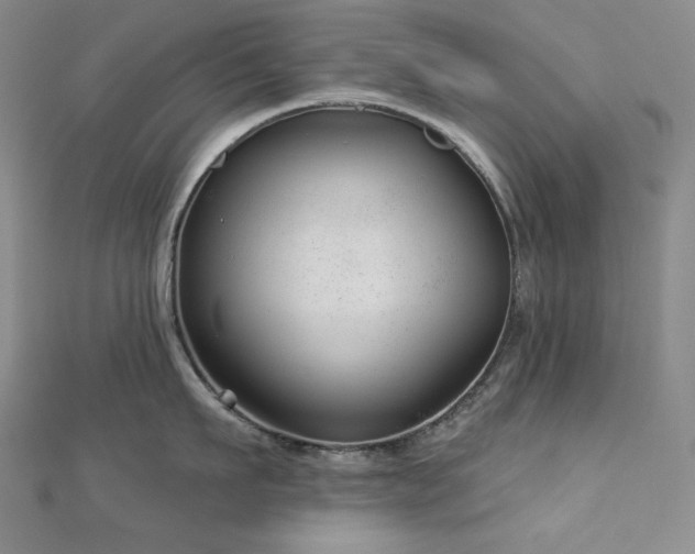 X0000113000911200908271344