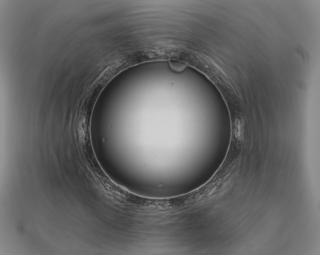 X0000113000915200908271344