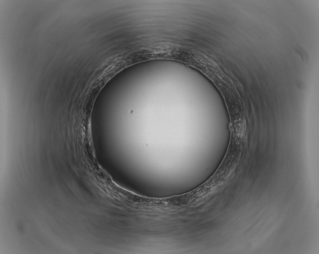 X0000113000916200908271344