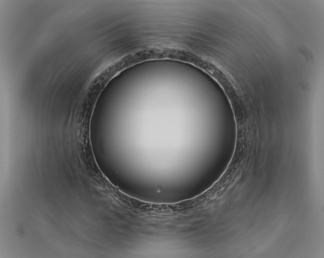 X0000113000919200908271344