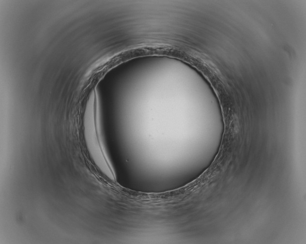 X0000113000920200908271344
