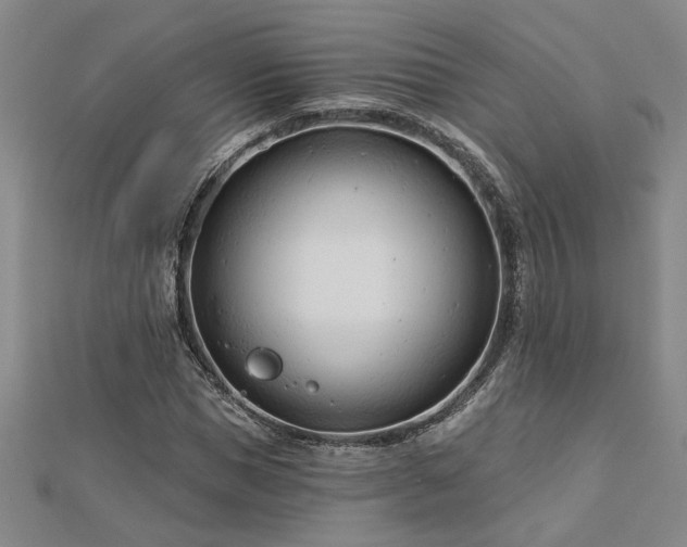 X0000113000921200908271344
