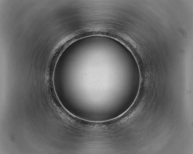 X0000113000922200908271344