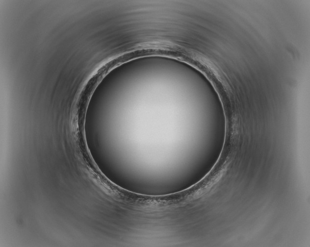 X0000113000923200908271344
